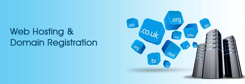 Web Hosting Company