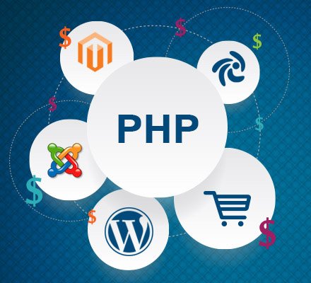 website development